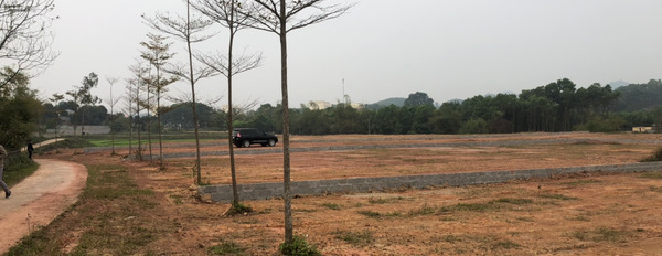 Cần bán gấp lô đất tại xã Quyệt Thắng, Thành phố Thái Nguyên-02