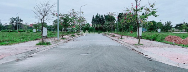 Từ 399 triệu bán đất diện tích khoảng 150m2 vị trí đẹp tọa lạc ngay tại Tân Phú, Đồng Xoài-03