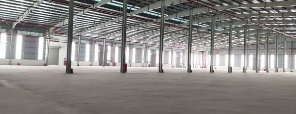 Cho thuê 8000m2 kho nhà xưởng tại khu công nghiệp phố Nối, Yên Mỹ, Hưng Yên-02