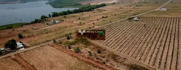 Giá siêu ưu đãi từ 800 triệu bán đất có một diện tích sàn 240m2 Bên trong Nguyễn Văn Linh, Nha Bích-02