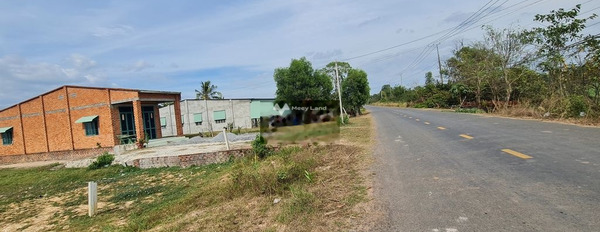 Gần Long Phước, Tây Ninh bán đất giá hạt dẻ 599 triệu Diện tích nền 500m2-03