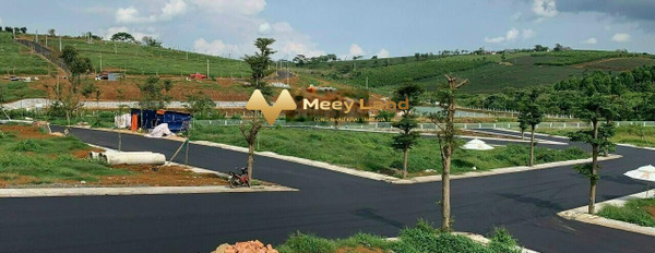 Bán đất 100m2 vị trí hấp dẫn nằm ở Chu Văn An, Lâm Đồng-02