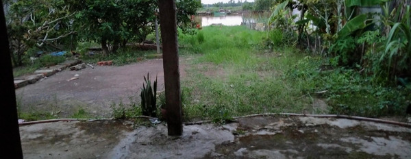 Cần bán nhà đất tại xã Khánh Thuận huyện U Minh Tỉnh Cà Mau-02