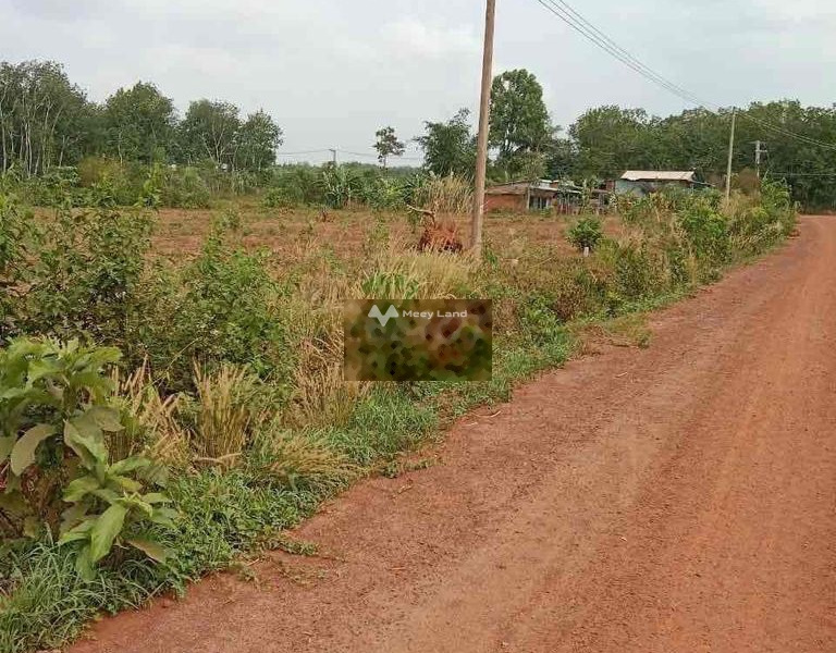 An Linh, Phú Giáo 550 triệu bán đất diện tích chung 250m2-01