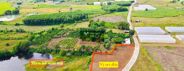 Đoàn Trung Còn, Đất Đỏ bán đất giá bán siêu mềm từ 750 triệu với diện tích chuẩn 150m2-02