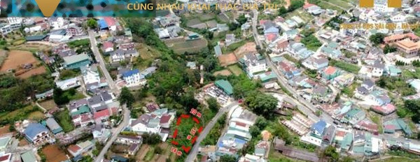 Bán đất 11,5 tỷ, Đường Đống Đa, Tỉnh Lâm Đồng, 395 m2-03