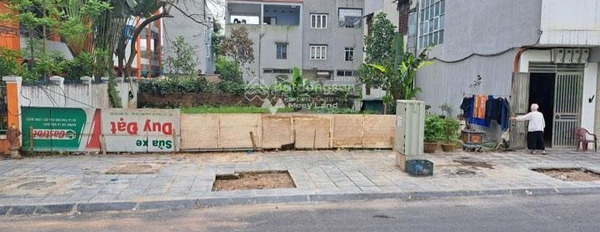 Bán đất có diện tích tiêu chuẩn 230m2 ngay Long Biên, Hà Nội-03