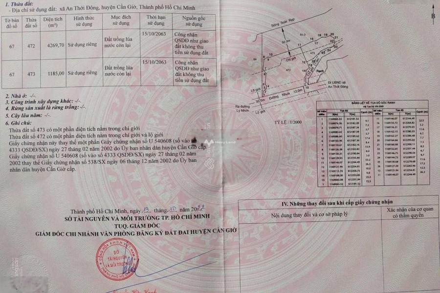 Bán đất 69.71 tỷ An Thới Đông, Hồ Chí Minh diện tích chuẩn 23236m2-01