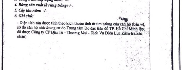 Bán chung cư vị trí mặt tiền Quận 8, Hồ Chí Minh, tổng quan căn này bao gồm 3 PN ở lâu dài-02