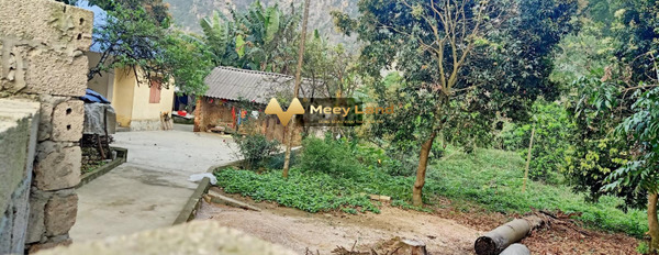 Bán gấp lô đất nhà vườn tại xã Trần Phú, Chương Mỹ, Hà Nội-02