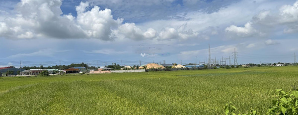 Xuyên Mộc, Bà Rịa-Vũng Tàu bán đất giá cạnh tranh 3.45 tỷ, hướng Nam diện tích chuẩn 607m2-02