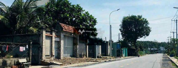 Bán đất mặt tiền đường Nguyễn Thi Nê diện tích 1500m2-02