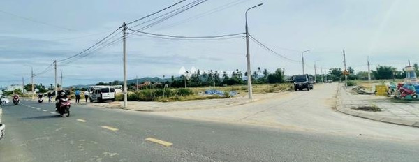 Giá bán khủng chỉ 2.68 tỷ bán đất với diện tích tiêu chuẩn 150m2 vị trí mặt tiền gần Hòa Vinh, Phú Yên-03
