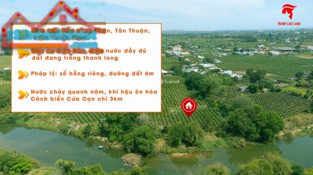 Giá hợp lý từ 1.8 tỷ bán đất diện tích khoảng 2034m2 vị trí thuận tiện ngay tại Đt 719, Hàm Thuận Nam, hướng Tây Bắc-01