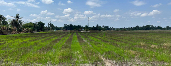 Chính chủ cần bán gấp đất trồng lúa xã Bình An, Thủ Thừa, Long An - giá rẻ -03