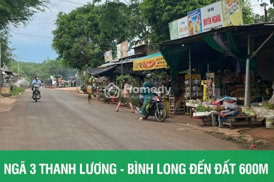 Bình Long, Bình Phước 280 triệu bán đất có diện tích chuẩn 242m2-01