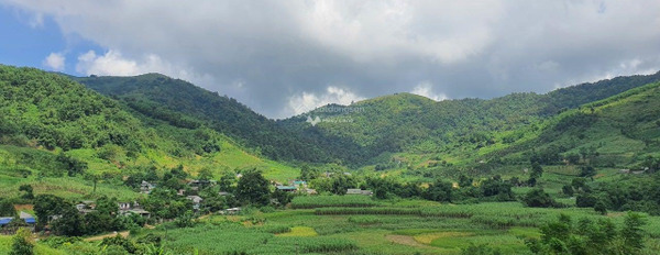Vị trí đẹp nằm ngay Hợp Phong, Hòa Bình bán đất diện tích quy ước 9400m2-02