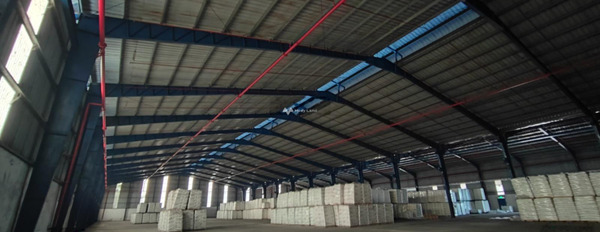 Bây giờ tôi cần cho thuê kho bãi diện tích sàn là 1000m2 ở Bình Chánh, Hồ Chí Minh thuê ngay với giá hấp dẫn 70 triệu/tháng vị trí đắc địa-03