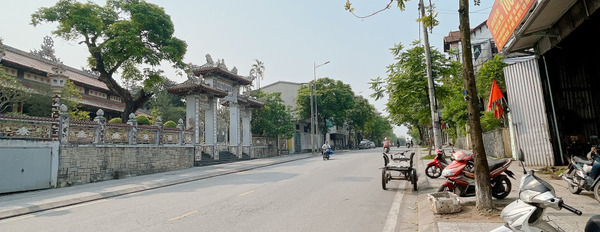 Bán nhà 3 tầng mặt tiền đường Điện Biên Phủ, Trường An, Thừa Thiên Huế. Diện tihcs 345m2, giá 13 tỷ-03