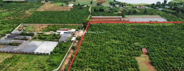 Ngô Quyền, Pleiku bán đất giá đặc biệt chỉ 2.5 tỷ, hướng Đông diện tích tổng 3000m2-02