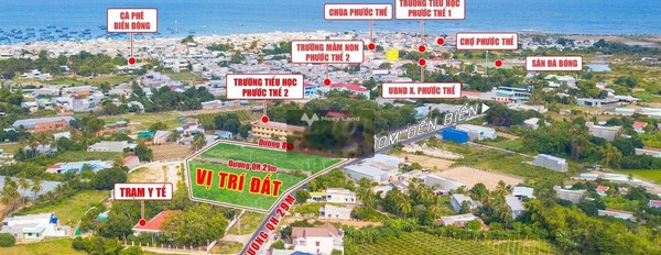 Giá sang tên chỉ 749 triệu bán đất diện tích dài 120m2 vị trí đẹp Tuy Phong, Bình Thuận-02