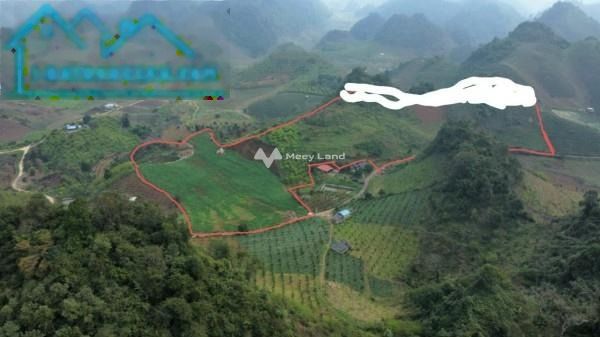 Cần xoay sở tiền bán mảnh đất, 50000m2 giá cơ bản chỉ 17.55 tỷ vị trí ở Phiêng Luông, Sơn La giao thông thuận lợi-01