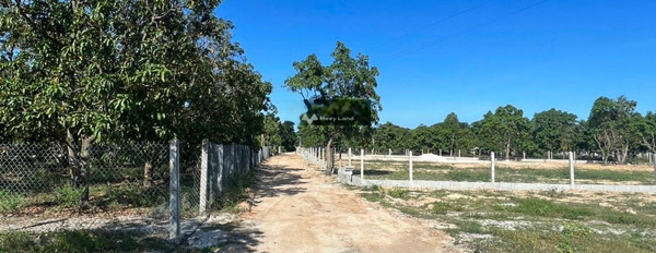 Chủ cần bán nhanh đất ở Cam Thành Bắc khu dân cư có thổ cư 2.2tr/m2. Lh: 0798 347 *** -03