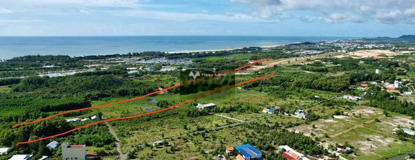 Thắng Hải, Bình Thuận bán đất giá bán cực sốc 3.8 tỷ diện tích đúng với trên ảnh 360m2-02