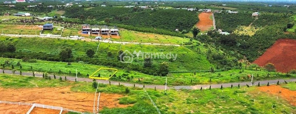 Bán mảnh đất giá 1,15 tỷ, diện tích 300m2 tại Tỉnh Lộ 725, Lâm Đồng-03