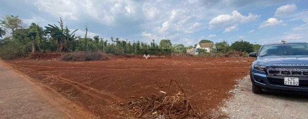 Vị trí thuận lợi nằm trên Cư M'gar, Đắk Lắk bán đất giá bàn giao chỉ 350 triệu diện tích chung là 219.6m2-02