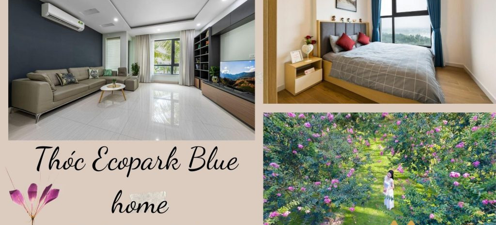 Cho thuê homestay tại Thóc Homestay Ecopark Blue home. Diện tích 34m2