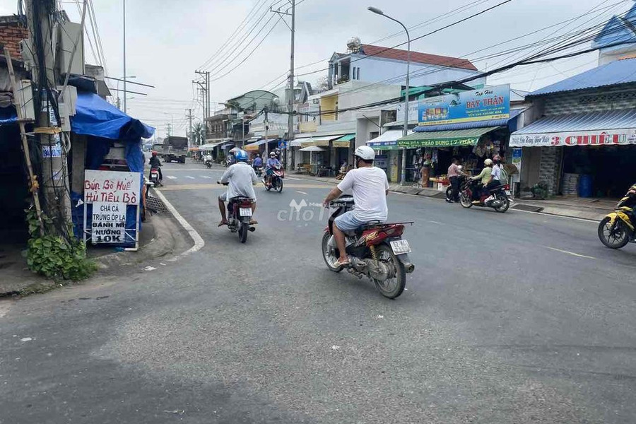 Giá bất ngờ chỉ 520 triệu bán đất toàn bộ khu vực có diện tích 150m2 vị trí mặt tiền nằm tại Lộ Dừa, Long An-01