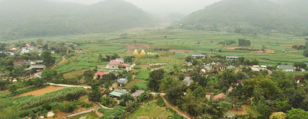 Giá 7.5 tỷ bán đất dt sàn là 3000m2 vị trí đẹp tọa lạc ngay ở Xã Vân Hòa, Hà Nội-03