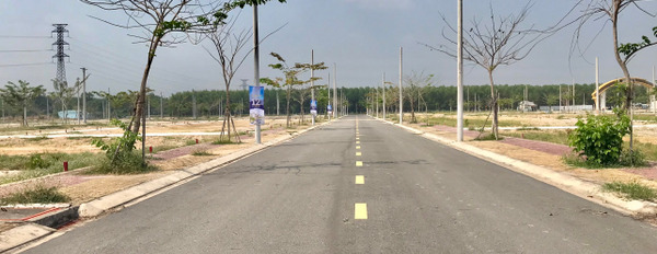 Bán đất chỉ từ 980 triệu, nền 80m2, full thổ cư ngay cạnh khu công nghiệp Bàu Bàng-03