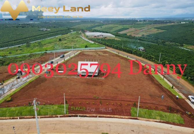 Vị trí tại Lý Thái Tổ, Lâm Đồng bán trang trại bán ngay với giá 1.15 tỷ dt tầm trung 200 m2-01