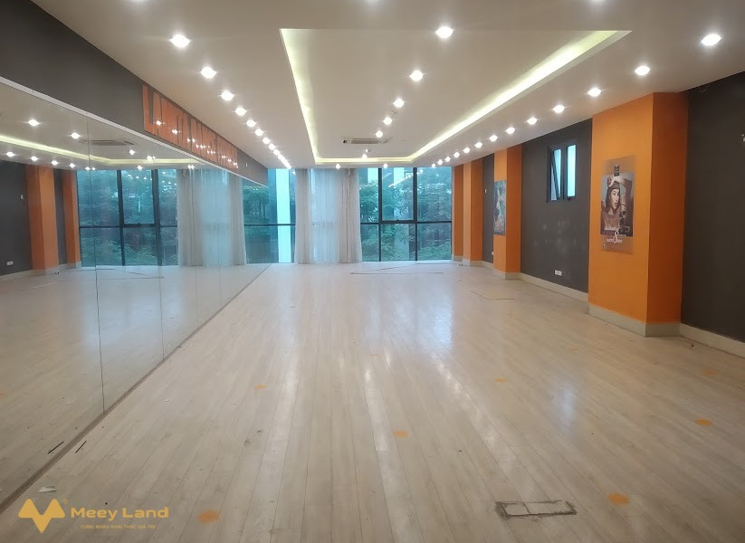 Cho thuê 120m2 sàn văn phòng tại mặt phố Tuệ Tĩnh, quận Hai Bà Trưng-01