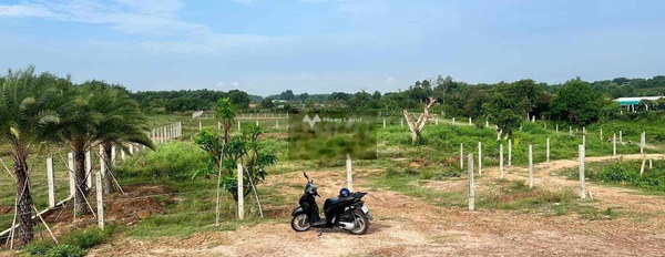 Giá chỉ 775 triệu bán đất diện tích rộng rãi 303m2 vị trí đặt tọa lạc ở Trần Phú, Ninh Sơn-03