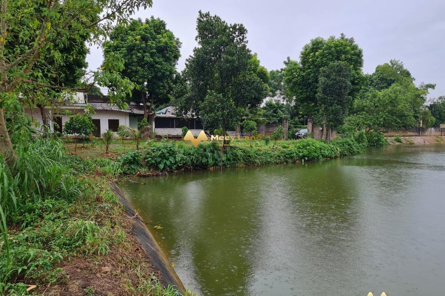 Chính chủ gửi bán lô biệt thự nhà vườn nghỉ dưỡng xã Trần Phú-01