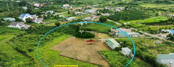 Ninh Gia, Đức Trọng bán đất giá bán mua ngay chỉ 8.5 tỷ, hướng Bắc diện tích mặt tiền 900m2-03