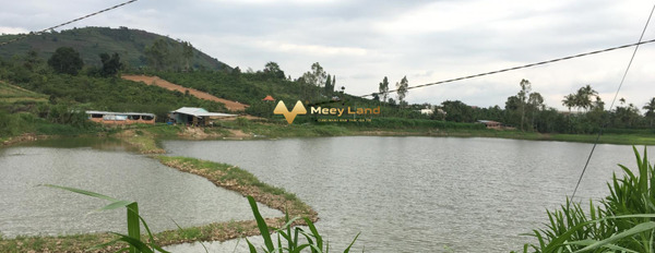 Vị trí đặt ngay Xã Tân Hội, Huyện Đức Trọng bán đất, giá khuyến mãi 4.68 tỷ dt là 5200 m2-02