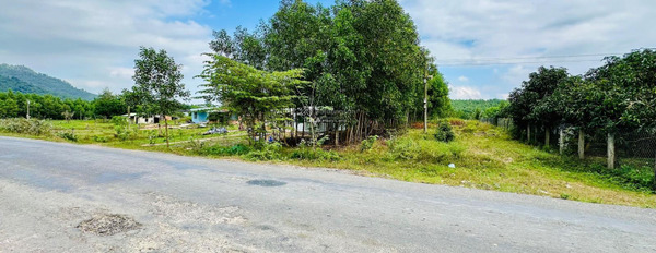 Đầu tư bất động sản bán mảnh đất, 1132m2 giá bán đặc biệt chỉ 1.4 tỷ vị trí đẹp ngay tại Khánh Bình, Khánh Vĩnh vị trí tốt-02