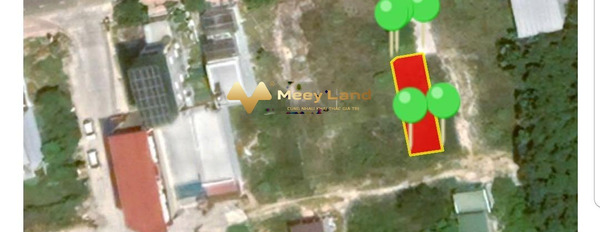 Nằm tại Lý Thái Tổ, Khánh Hòa bán đất 1.8 tỷ có diện tích chung 120 m2-03