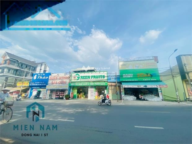 Thuê ngay với giá cực sốc chỉ 50 triệu/tháng cho thuê cửa hàng diện tích chung quy 800m2 vị trí nằm ngay Biên Hòa, Đồng Nai giá siêu rẻ-01