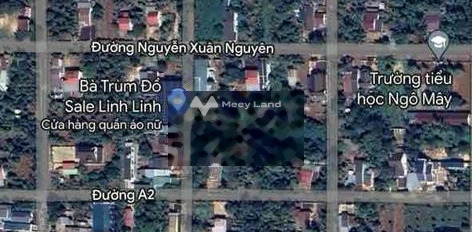 Bán đất hẻm Nguyễn Xuân Nguyên 15x20m -03