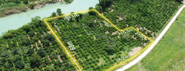 Bán gấp 2750m2 đất mặt tiền giáp sông,gần trung tâm xã,có sẵn vườn Cây Chàm 3 năm,SHR,mua nhanh gọn phong thủy tốt-03