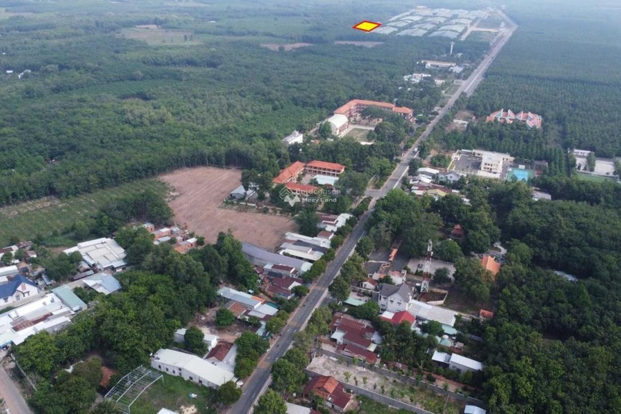 860 triệu bán đất có diện tích trung bình 200m2 mặt tiền tọa lạc trên Thanh An, Bình Dương-01