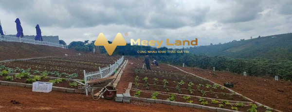 Bán đất tại Khúc Thừa Dụ, Bảo Lộc, Lâm Đồng. Diện tích 150m2, giá 607,5 triệu-02