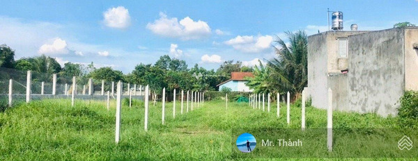 Liêu Bình Hương, Hồ Chí Minh bán đất, hướng Đông - Nam diện tích khoảng 150m2-03