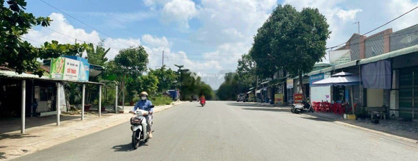 350 triệu bán đất với diện tích tiêu chuẩn 1000m2 vị trí đặt ngay tại Tân Phú, Đồng Phú, hướng Đông-02