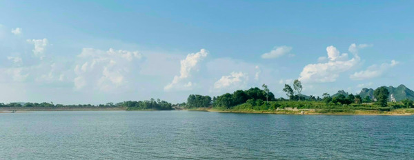 Bán nhanh 3.100m2 biệt phủ bám hồ Đồng Tranh siêu đẹp tại Lương Sơn, Hòa Bình-03